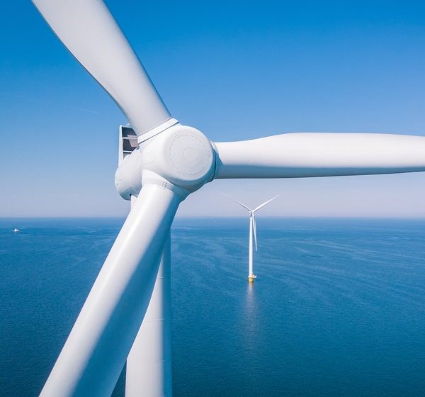 OWGP is seeking transformative supply chain project proposals for new Development Grants