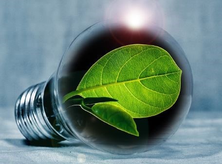 Energy Security: Building a Pathway to Net Zero