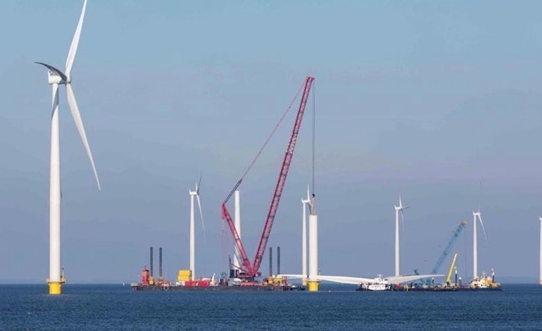 Ocean Winds unveils Irish offshore ambitions