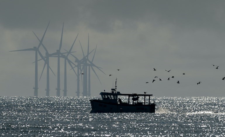 Developers add 200GW to offshore pipeline