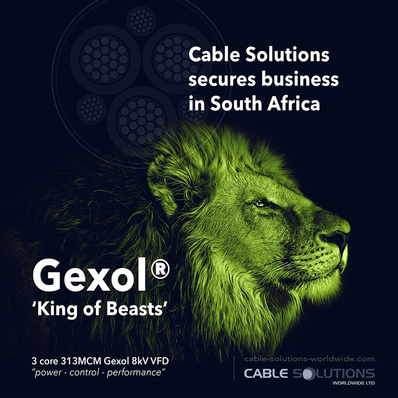 Cable Solutions Worldwide have secured a sizeable order of Gexol® cables with a major onshore operator in the power generation industry