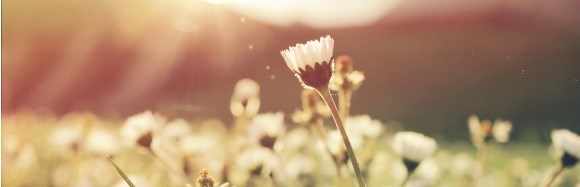 Wellbeing Series 1: Managing stress and mental health in the post-pandemic workplace |Newcastle: 6 July 2022