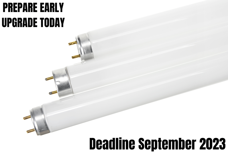 Thorne & Derrick - Fluorescent Lamp Ban | Plan For A Brighter Future With Thorne & Derrick & Raytec