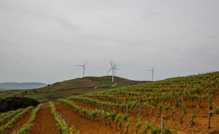 RWE takes FID on two Italian wind farms
