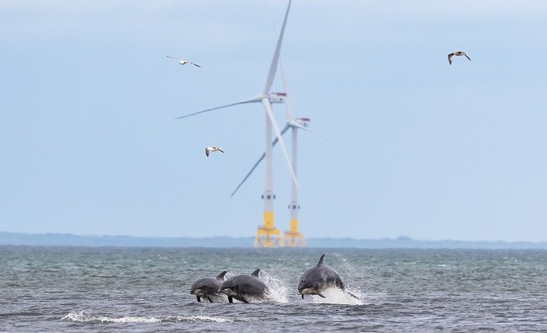 ORE Catapult launches Scottish supply chain programme