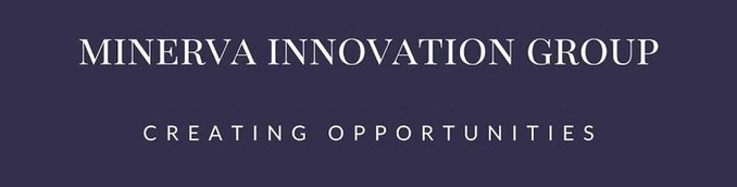 Minerva Innovation Group Case Study: Energyvue Services Limited