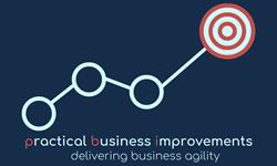 Practical Business Improvements Ltd